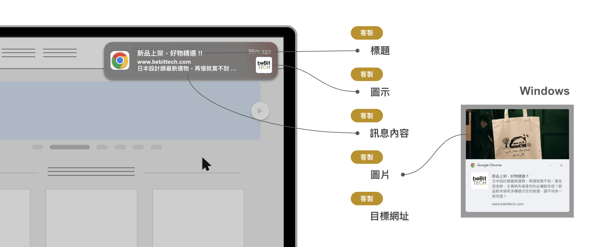 Screen Shot 2024-03-18 at 10.55.58 AM.png